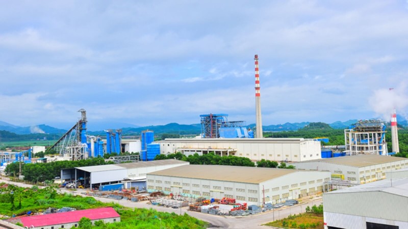 Tuyên Quang: Động thổ Dự án nhà máy nhiên liệu sinh khối hơn 20 triệu USD