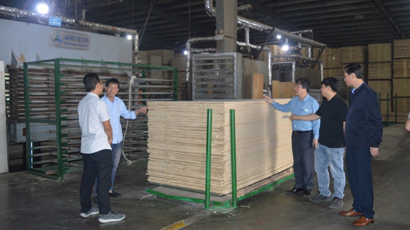 Yên Bái tiếp tục thu hút đầu tư, tăng tỷ lệ lấp đầy các khu công nghiệp