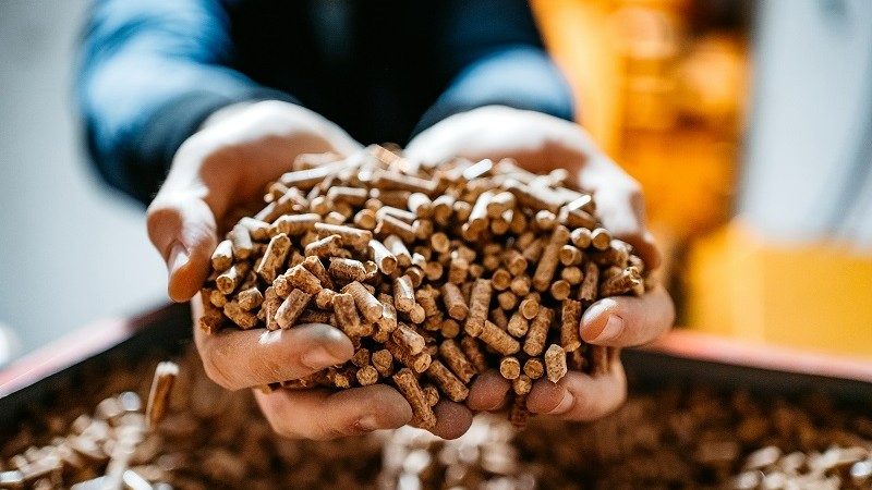 Bình Định: Chấp thuận chủ trương đầu tư dự án Nhà máy sản xuất viên nén chất đốt 250 tỷ đồng