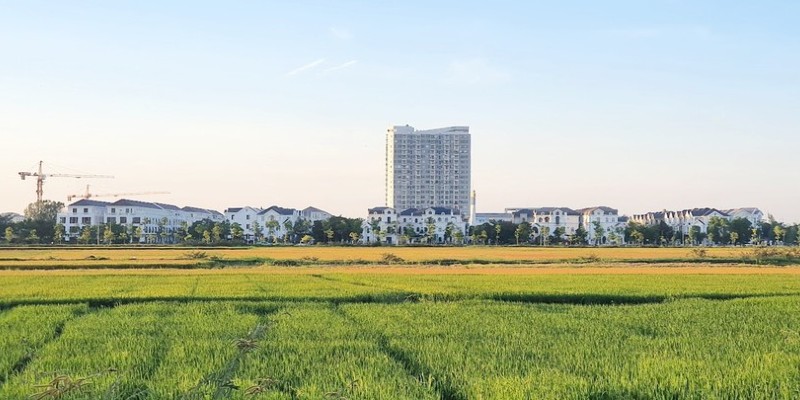 Thừa Thiên Huế đầu tư Trung tâm giới thiệu sản phẩm xây dựng 131 tỷ đồng