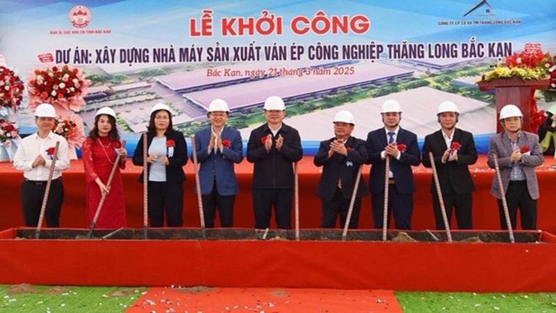 Bắc Kạn khởi công nhà máy ván ép công nghiệp 360 tỉ đồng
