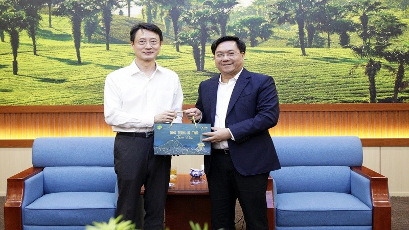 Phú Mỹ Hưng muốn làm khu đô thị tại Phú Thọ