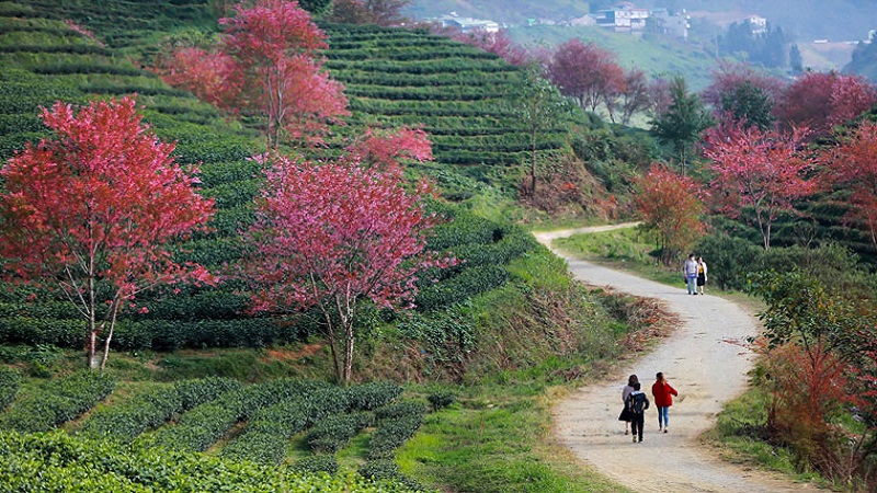 Tỉnh Lào Cai chấp thuận chủ trương đầu tư Dự án Khu đô thị sinh thái 2.424 tỉ đồng