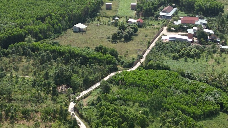 Chuyển đổi hơn 80ha đất rừng để phục vụ 7 dự án tại Gia Lai