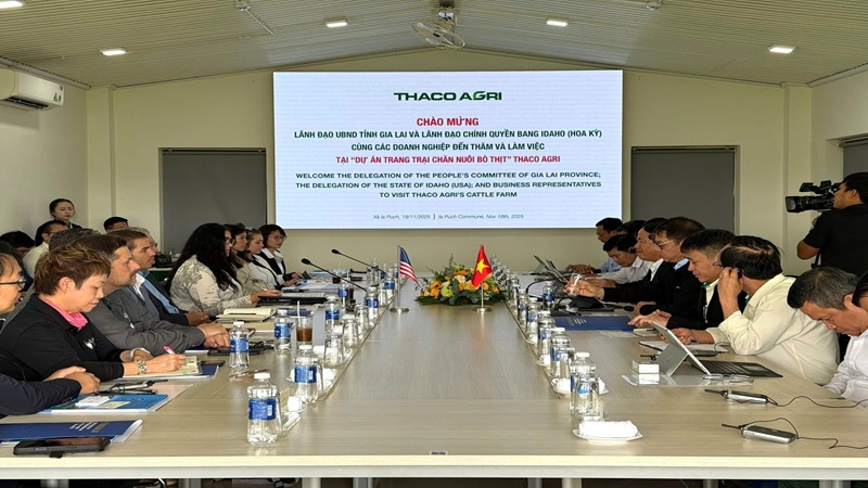 THACO AGRI muốn mở rộng dự án nông nghiệp ở Gia Lai lên 2.000ha, đầu tư 5.200 tỷ