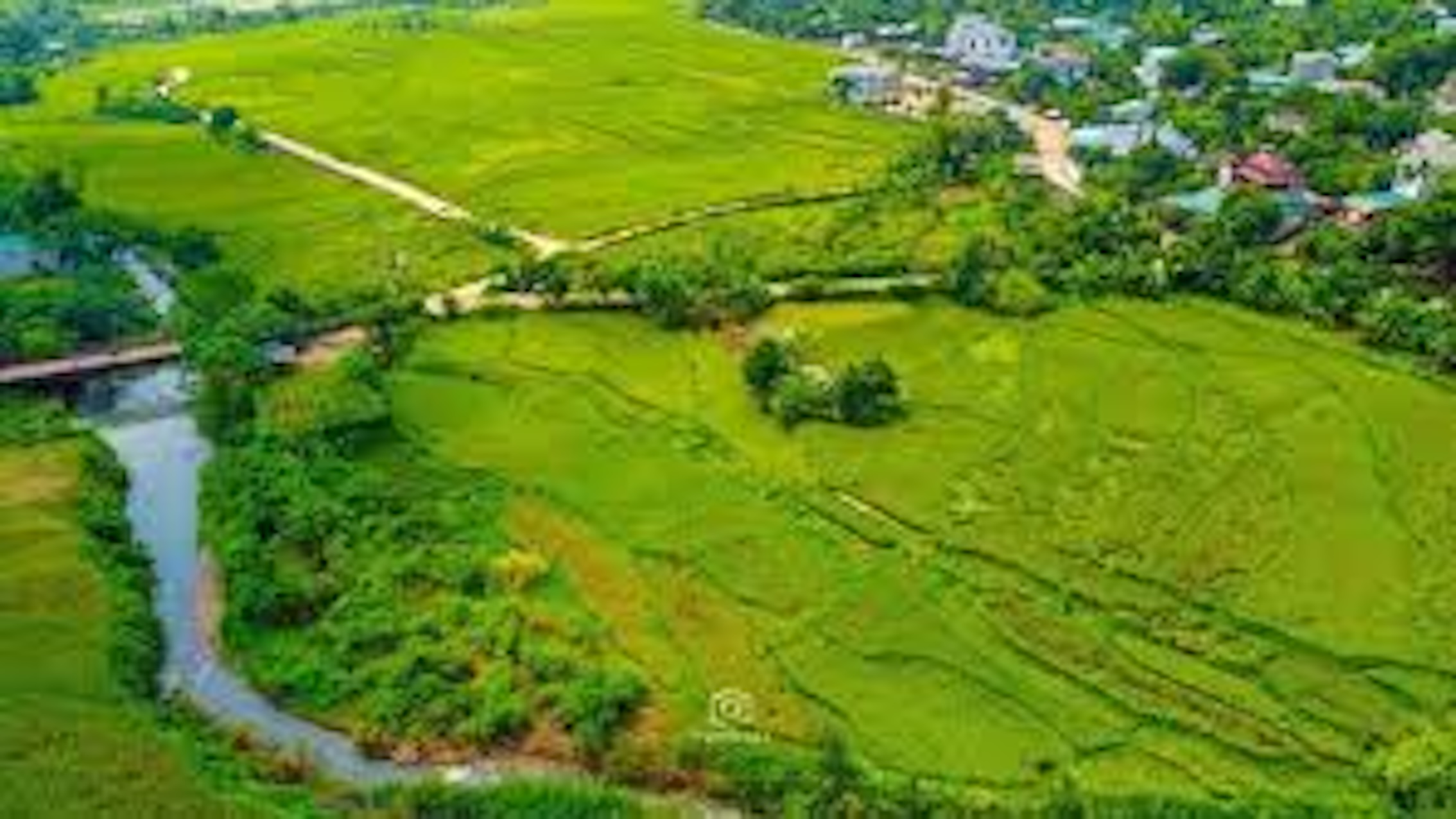 Chuyển gần 600 ha rừng tại Lương Sơn làm 3 dự án đô thị hơn 8.000 tỷ đồng