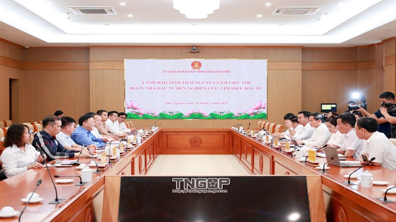 Chủ tịch UBND tỉnh Vương Quốc Tuấn tiếp và làm việc với các nhà đầu tư