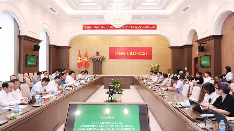 Chủ tịch UBND tỉnh Nguyễn Tuấn Anh làm việc với Công ty Cổ phần Đầu tư Bảo Lai